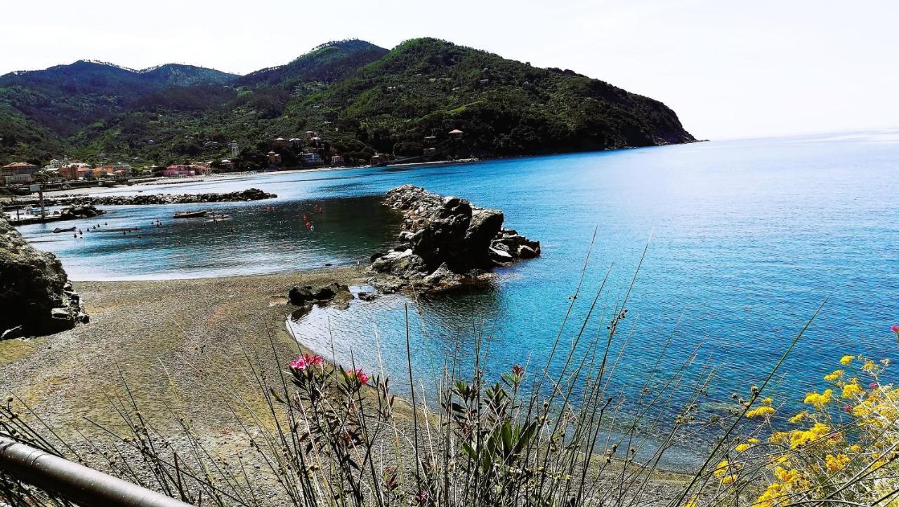 Oasi Felice Apartment Levanto Luaran gambar